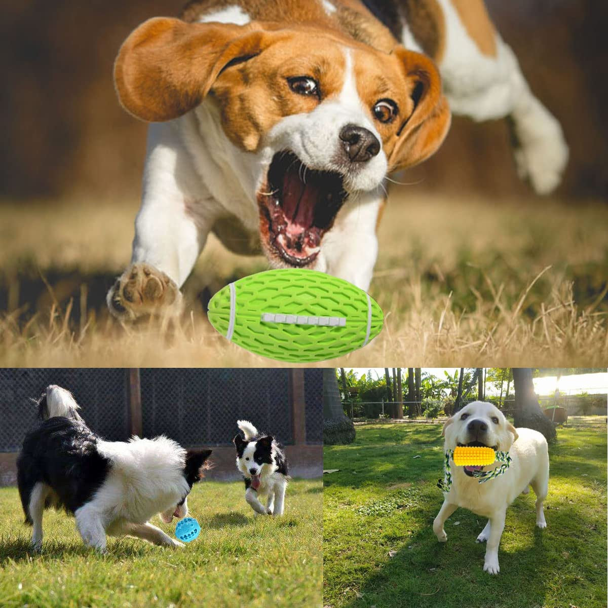 Dog Chew Toys