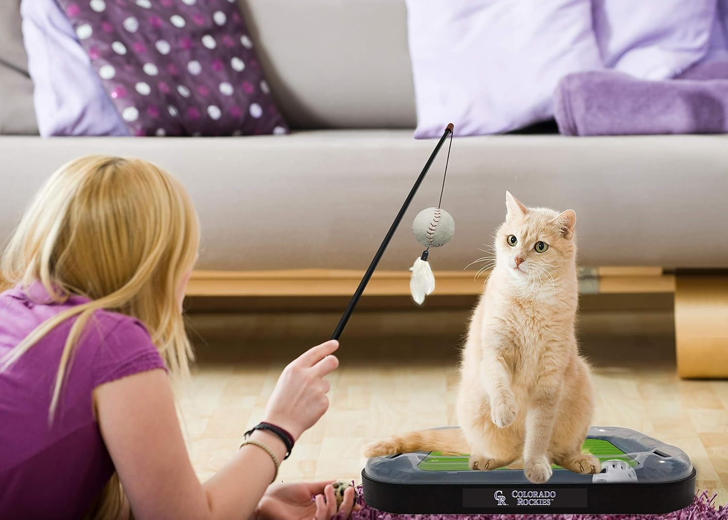 Cat Scratching Toy Baseball Field Cat Scratcher Toy
