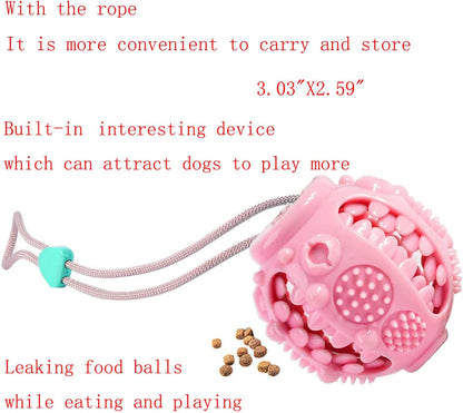 Dog Chew Toys