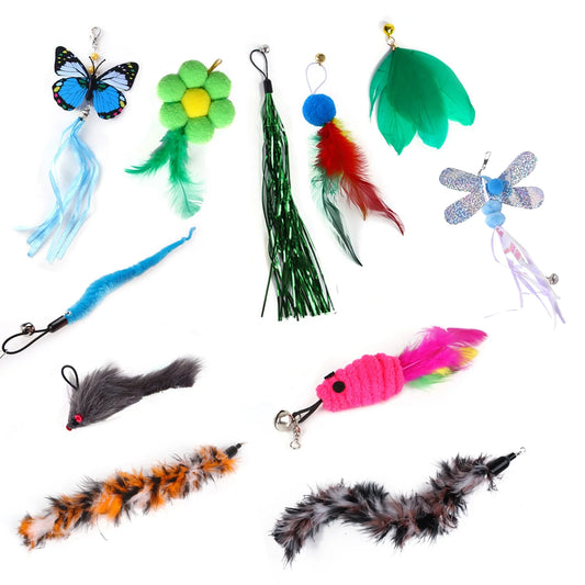 11 PCS Cat Feather Toys