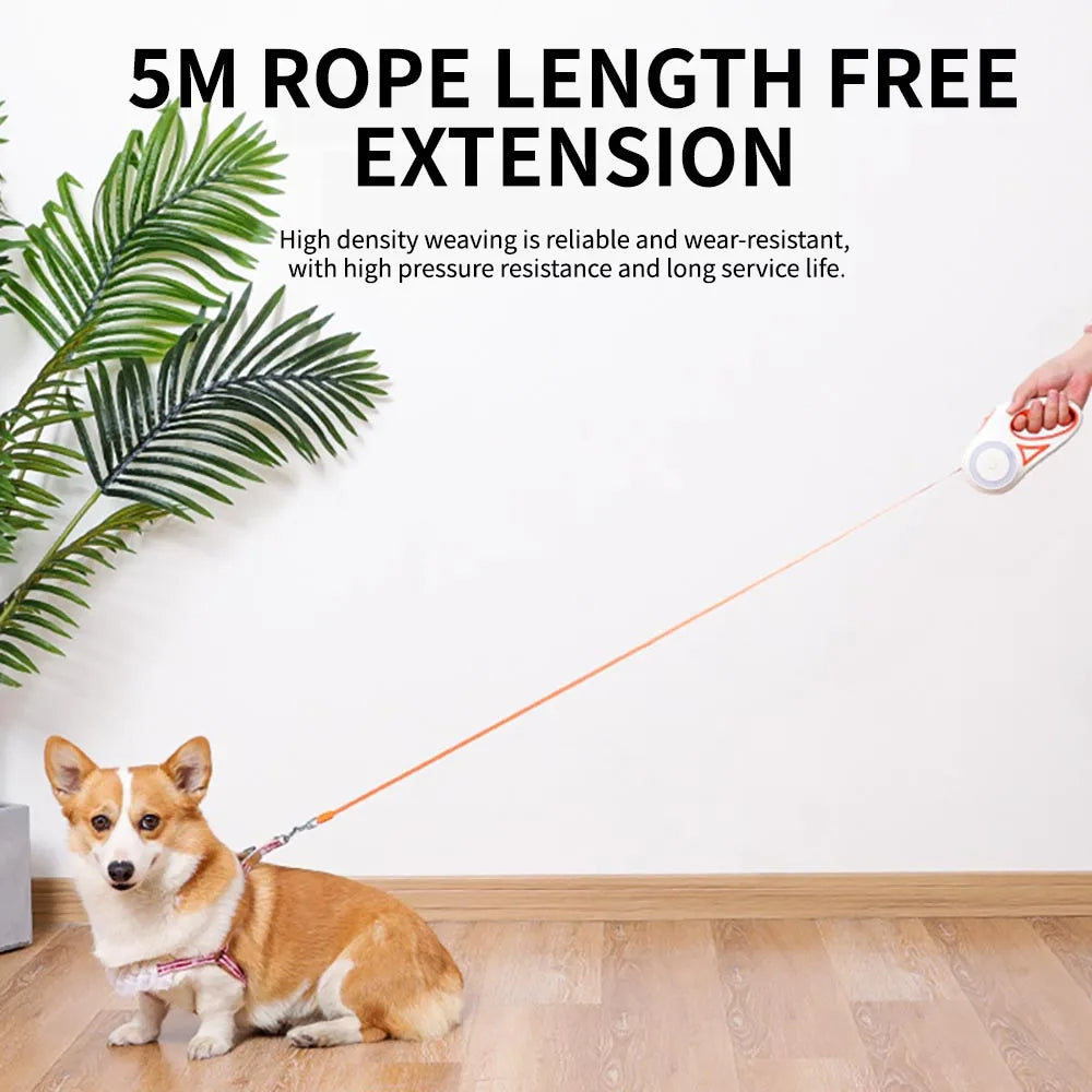3 and 5M Dog Leash Light Retractable Belt 