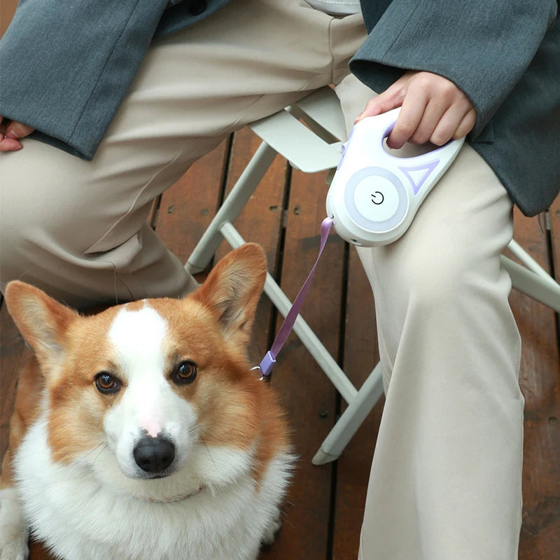 3 and 5M Dog Leash Light Retractable Belt 